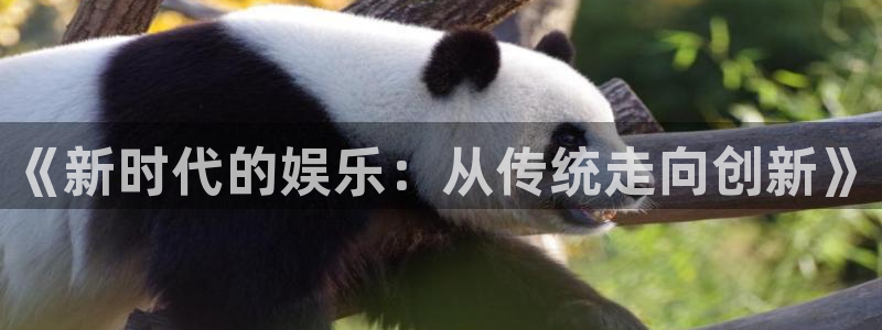 AB娱乐：《新时代的娱乐：从传统走向创新》