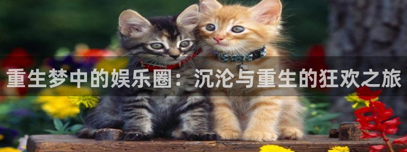 AB娱乐：重生梦中的娱乐圈：沉沦与重生的狂欢之旅